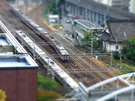 01_train.jpg