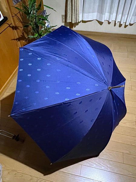 01_umbrella.jpg
