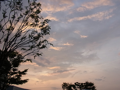02_dusk.jpg