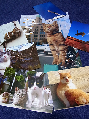 03_postcards.jpg