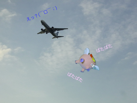 07_flying_warabu.jpg
