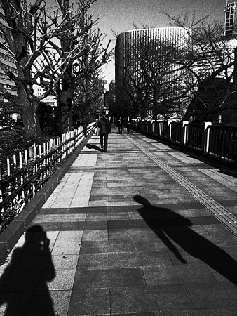 07_yasukunidori.jpg