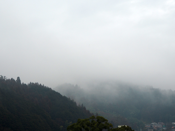 12_fog.jpg