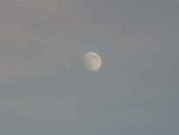 18_moon.jpg