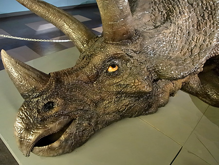 22_triceratops.jpg
