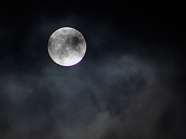 moon2016_3.jpg