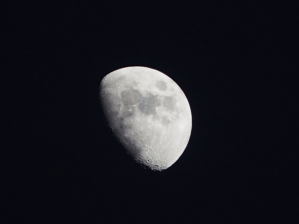 moon20230101.jpg